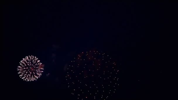 Fuegos artificiales en el cielo — Vídeo de stock