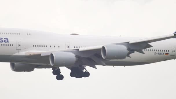 Avión aterrizando en Frankfurt — Vídeos de Stock