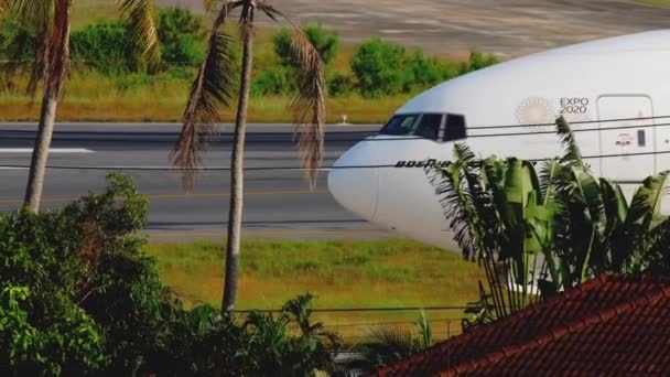 Boeing Emirates på bakgrunden av palmer — Stockvideo