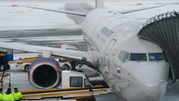 Avion Aeroflot déchargement des bagages — Video