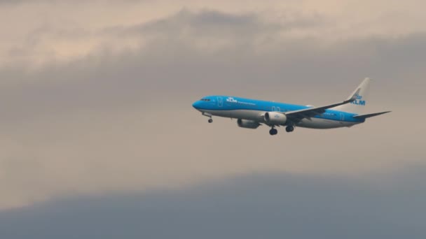 Boeing 737 z přistání KLM — Stock video
