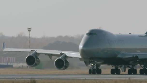 Sky Gates es una aerolínea de carga — Vídeo de stock