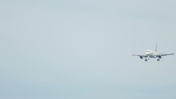青い空を飛んでいる旅客機 — ストック動画