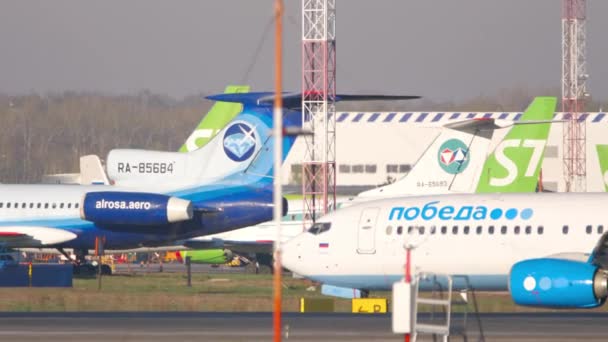 Pobeda è arrivato all'aeroporto di Tolmachevo — Video Stock