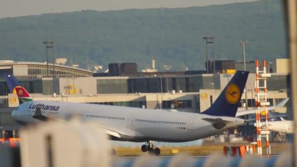 Lufthansa aterrizaje de aviones — Vídeos de Stock
