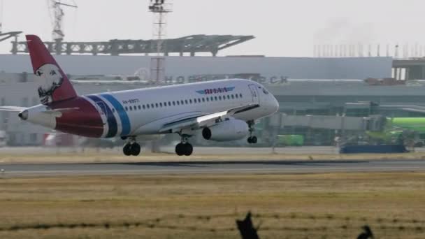 Yamal Airlines atterra a Tolmachevo — Video Stock