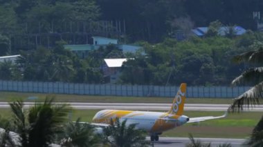 Scoot uçağı havalanıyor.