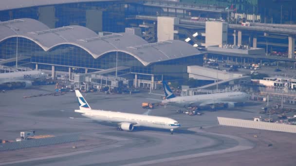Cathay Pacific am Flughafen — Stockvideo