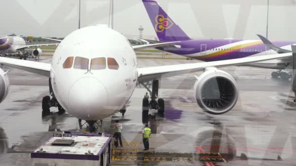 Vista de los aviones desde la terminal — Vídeos de Stock