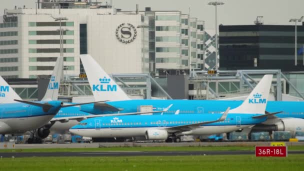 Boeing 737 KLM taxiing — стоковое видео