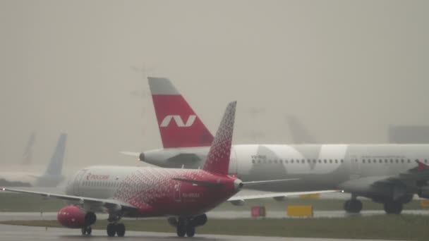 Circulation à l'aéroport de Sheremetyevo, pluie — Video