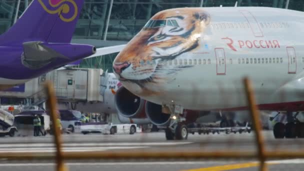 Närbild, Boeing 747 Rossiya — Stockvideo