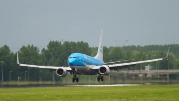 Boeing 737 von KLM landet — Stockvideo