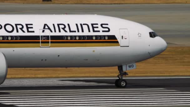 Singapore Airlines close-up – Stock-video