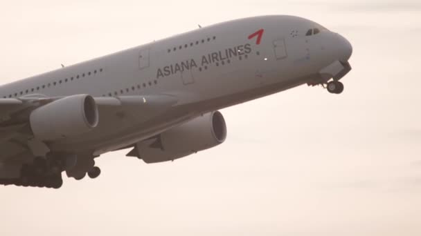 아시아나 항공 한국 항공 — 비디오