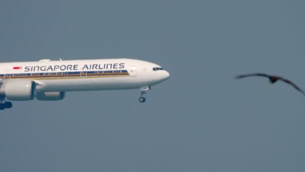 Airplane in flight, side view — Vídeo de Stock
