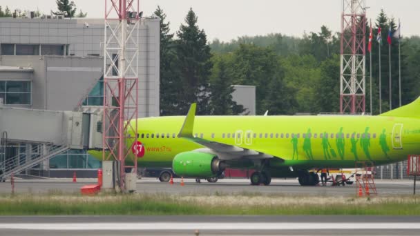 Embarque de pasajeros en un vuelo — Vídeo de stock