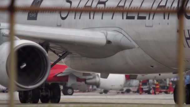 Thai Airways Star Alliance livery — Stockvideo