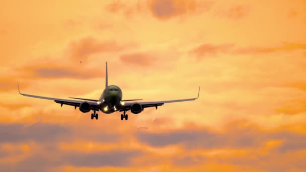 Airliner at sunset, landing — Stockvideo
