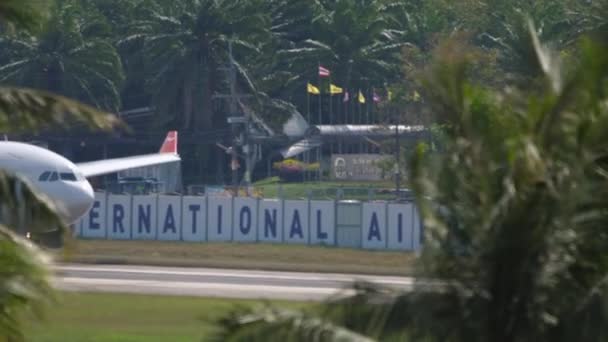 NordWind Airbus A330 rodaje — Vídeo de stock