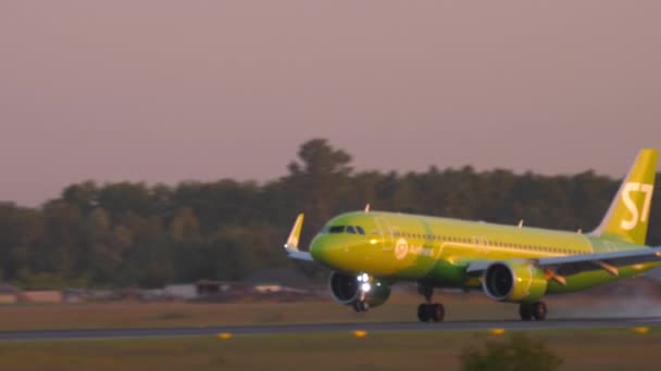 飞机S7航空公司着陆 — 图库视频影像