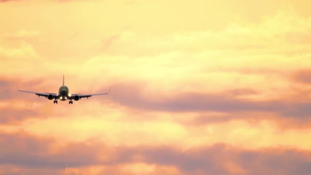 Airliner approaching in the sunset sky — Vídeo de Stock