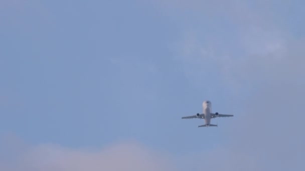 Airbus Beluga decola — Vídeo de Stock