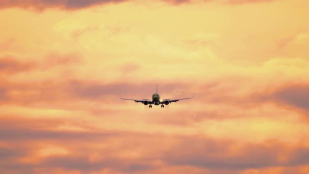 Avión acercándose en el cielo del atardecer — Vídeos de Stock