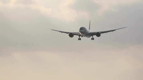 Jet plane approaching before landing — Stockvideo