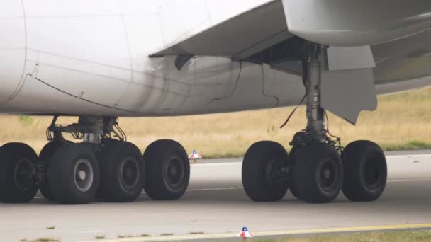 Airplane landing gear, close-up — Stock Video