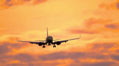 Airplane in a beautiful sunset