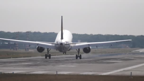 Zwolniony ruch, lądowanie samolotem — Wideo stockowe