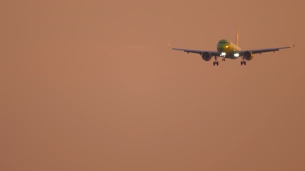 Avião a jacto a aterrar ao pôr do sol — Vídeo de Stock