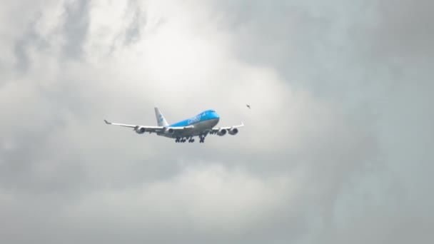Vrachtschip KLM-landing — Stockvideo