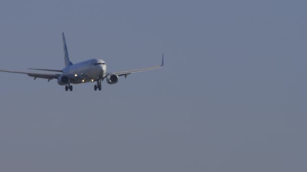 Avión aterrizaje vuelo por la mañana — Vídeo de stock