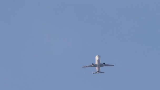 Грузовой самолет Beluga летает — стоковое видео