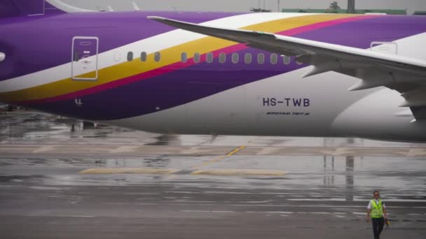 Sonhador Thai Airways — Vídeo de Stock