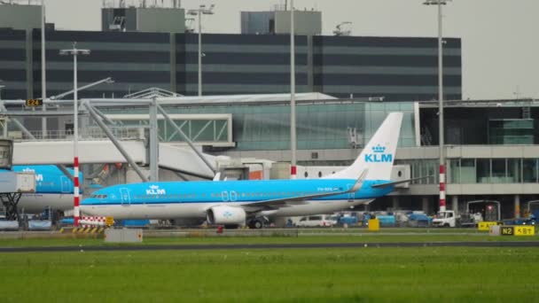 Boeing 737 av KLM taxning — Stockvideo