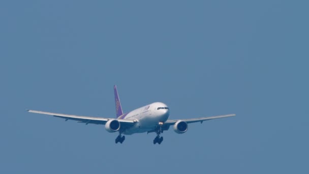 Thai Airways flies in the blue sky — Stock Video