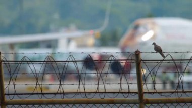 Boeing 747 Rossiya Taksicilik