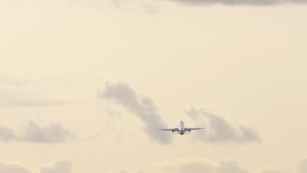 Long shot, montée de l'avion — Video