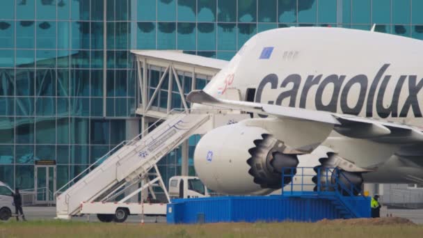Boeing Cargolux på förkläde — Stockvideo