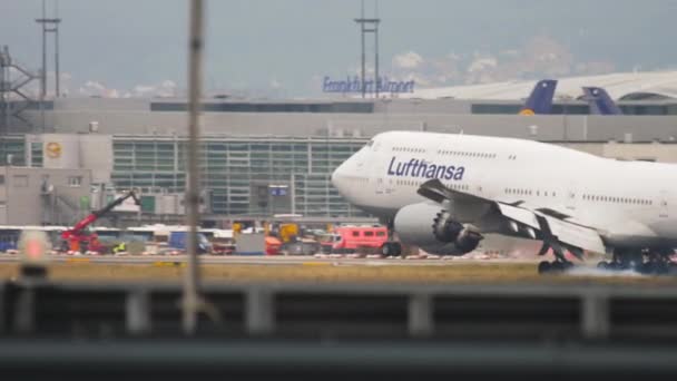 Przybyła Lufthansa Boeing 747. — Wideo stockowe