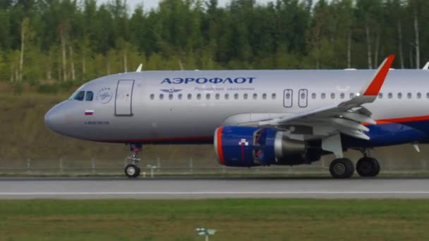 Avión con solapas levantadas, frenado — Vídeo de stock