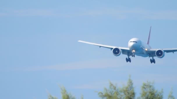 Airplane landing, long shot — Stock Video