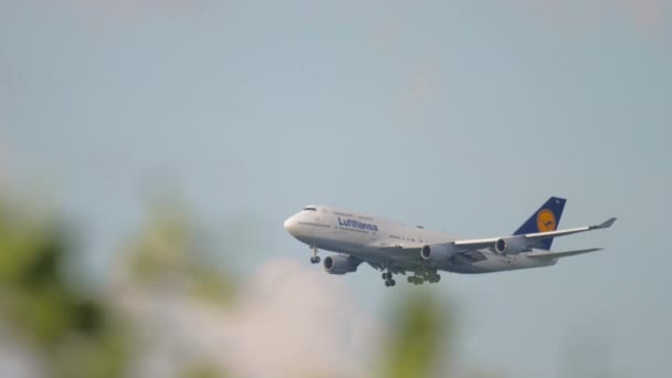 Lufthansa jumbo ląduje we Frankfurcie — Wideo stockowe