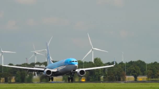 Boeing 737 of KLM landing — Stock Video