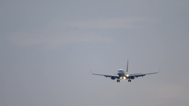 Avión vuela en el cielo de la noche — Vídeos de Stock