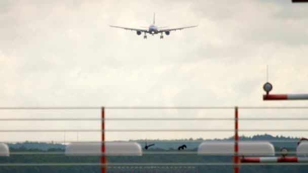 Avião sobre a pista — Vídeo de Stock