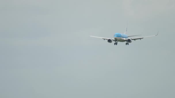 KLM plane approaching to land — Stockvideo